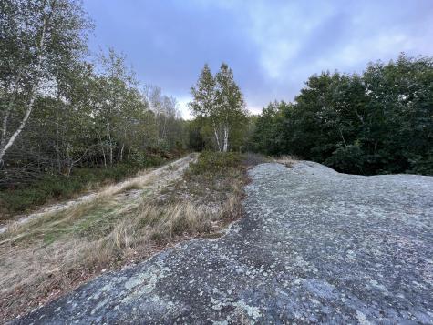 0 Blackswoods Lot 28.1 Road Cherryfield ME 04622