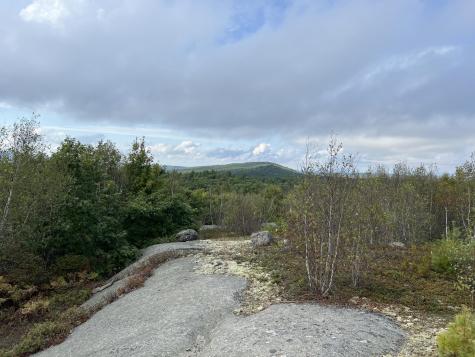 0 Blackswoods Lot 28.1 Road Cherryfield ME 04622