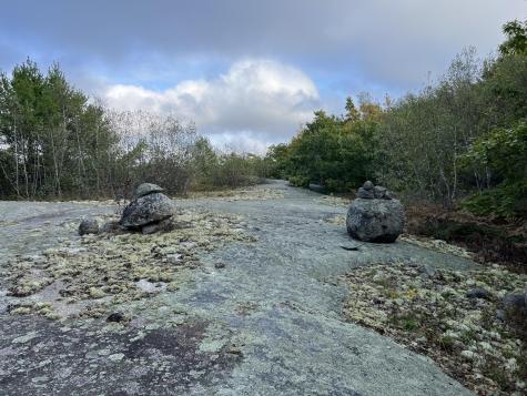 0 Blackswoods Lot 28.1 Road Cherryfield ME 04622