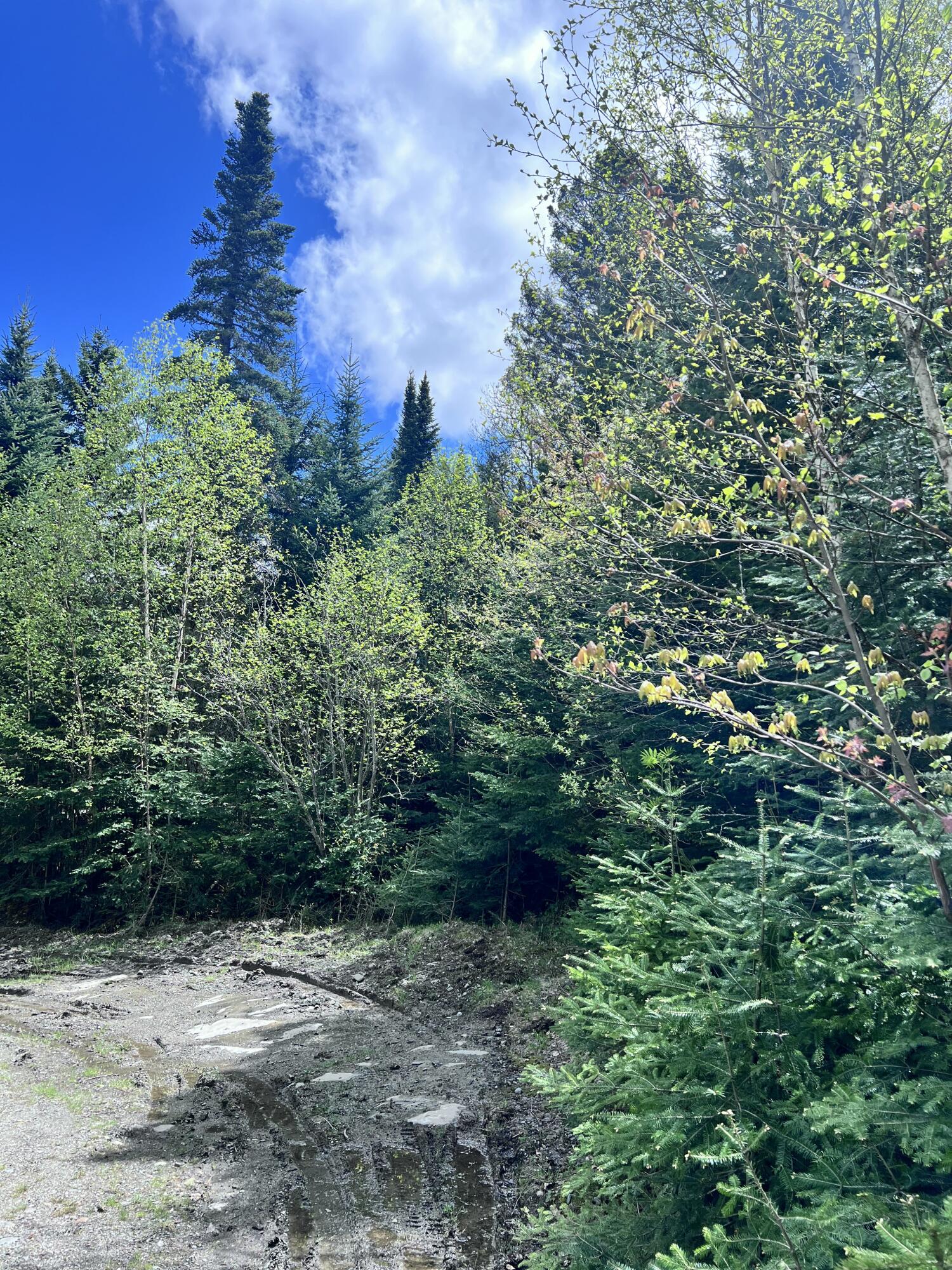 Lot 58 Left Branch Of Summit Road Sandy River Plt ME 04970