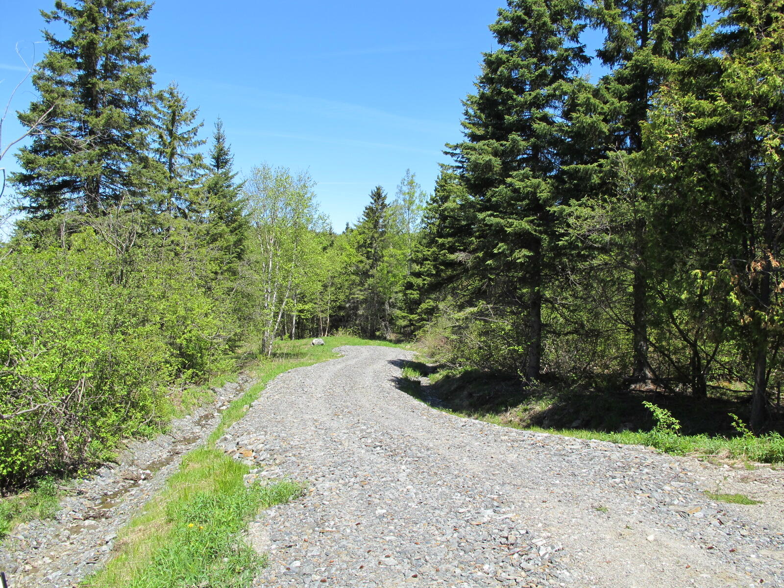 Lot 58 Left Branch Of Summit Road Sandy River Plt ME 04970