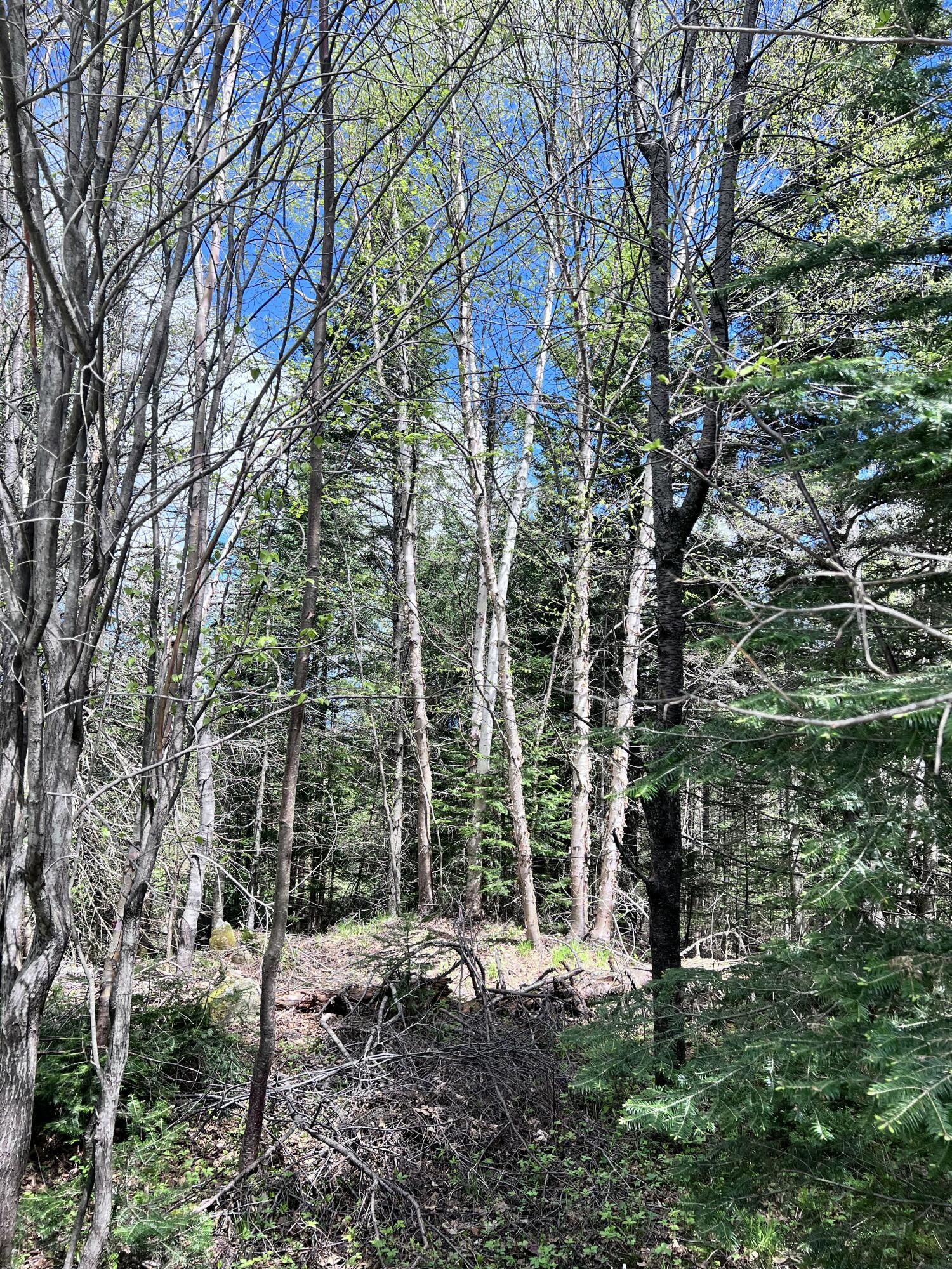Lot 58 Left Branch Of Summit Road Sandy River Plt ME 04970