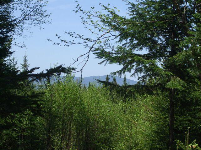 Lot 58 Left Branch Of Summit Road Sandy River Plt ME 04970