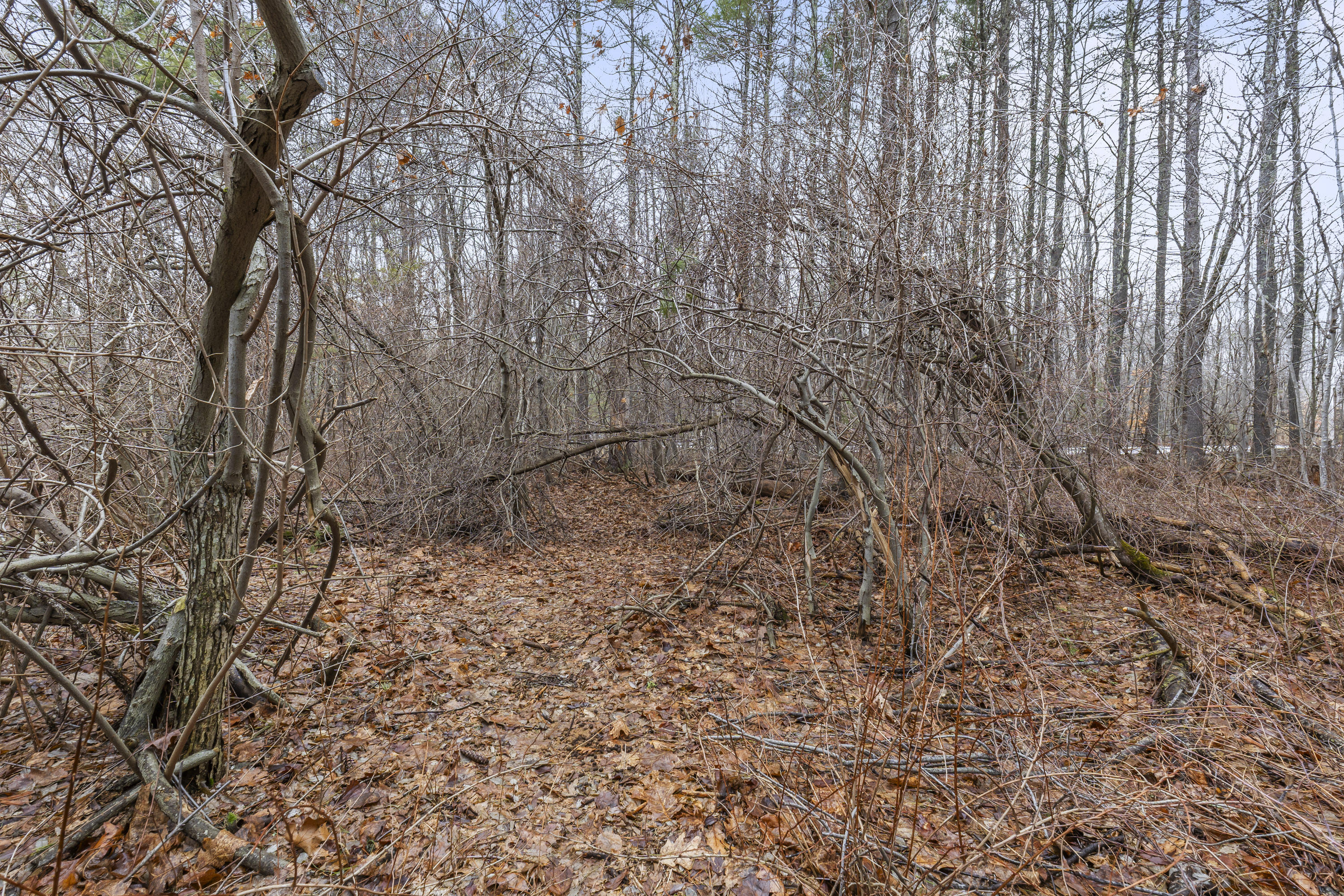297-1 Loop Road Wells ME 04090