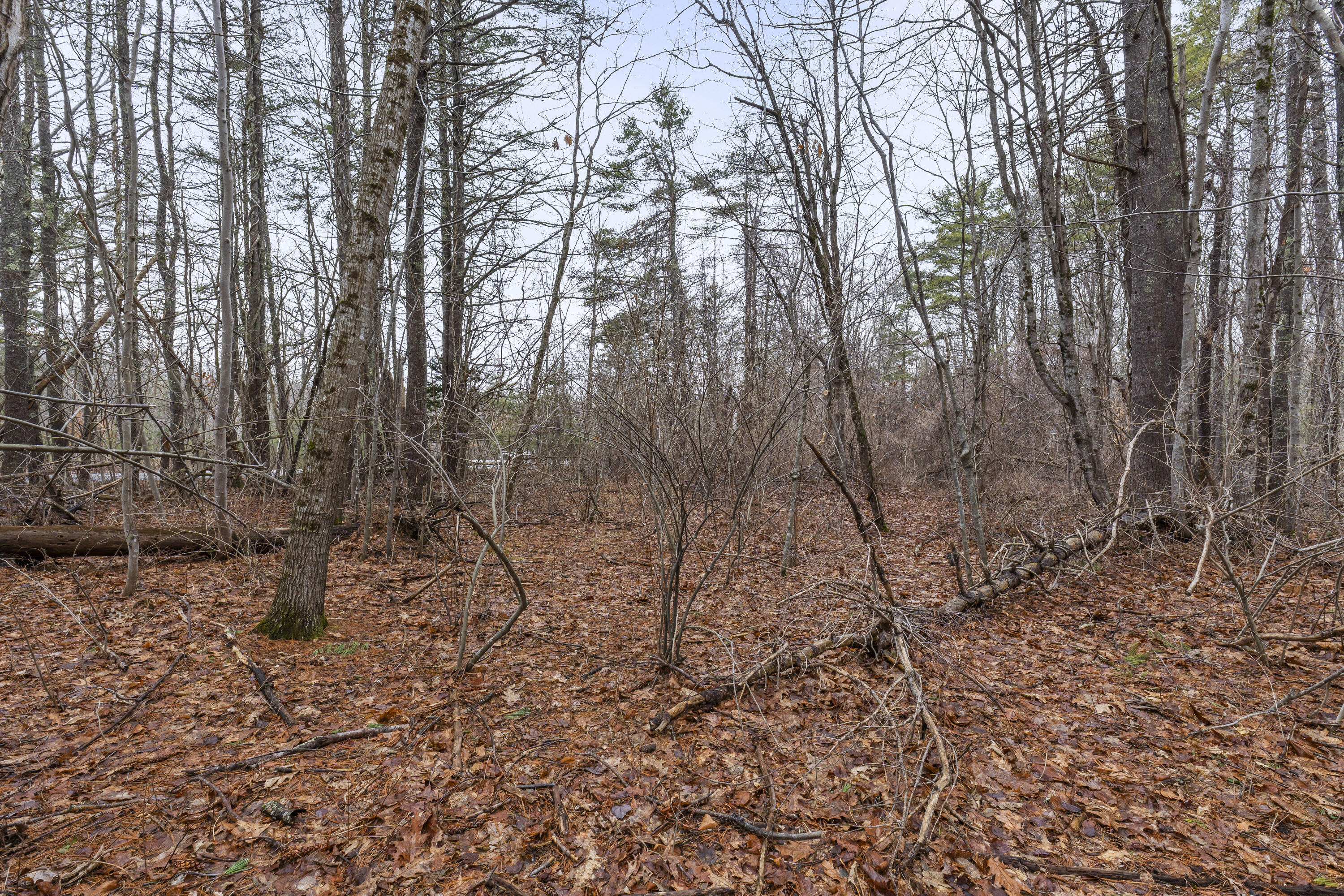 297-1 Loop Road Wells ME 04090