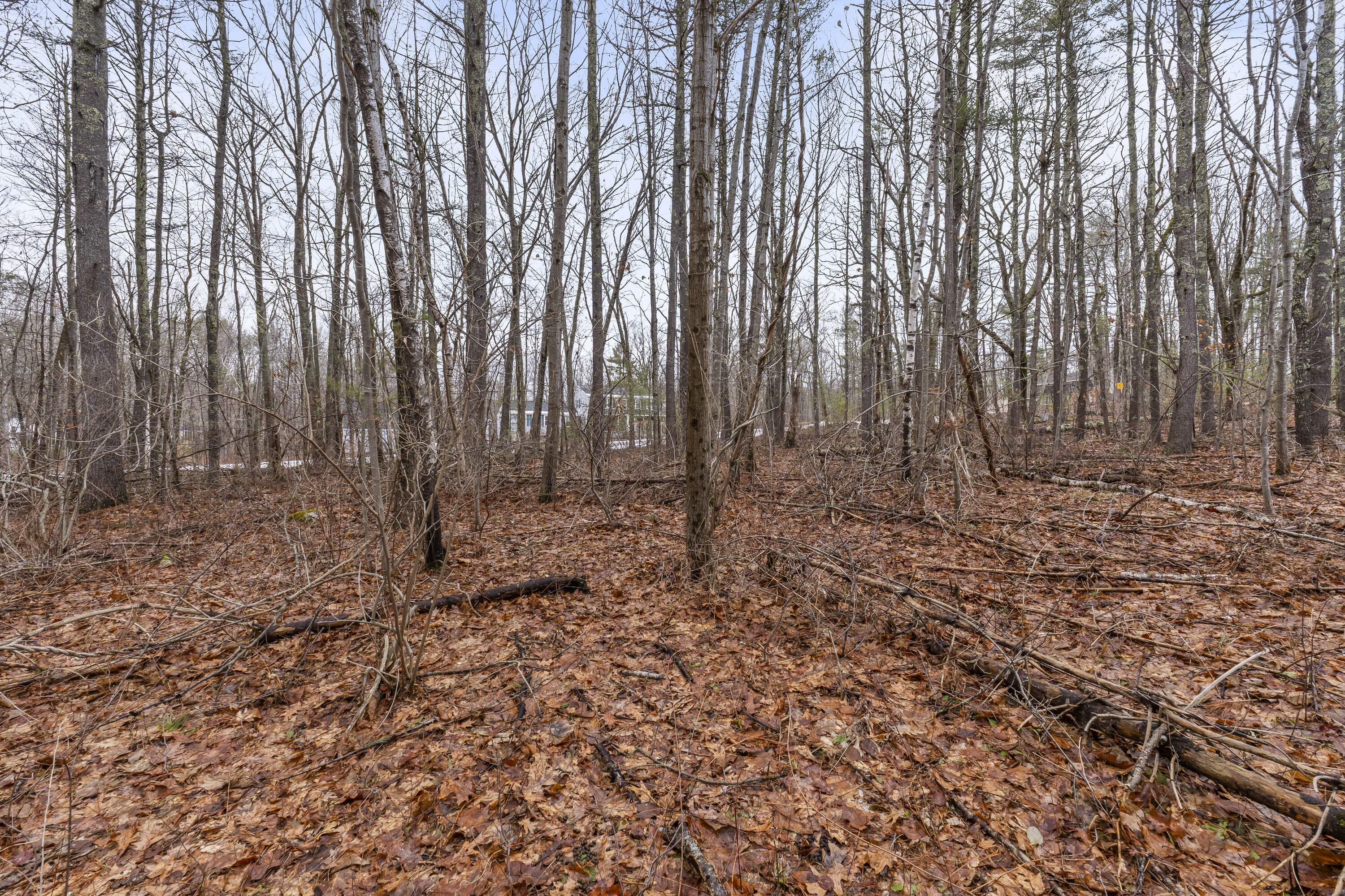 297-1 Loop Road Wells ME 04090