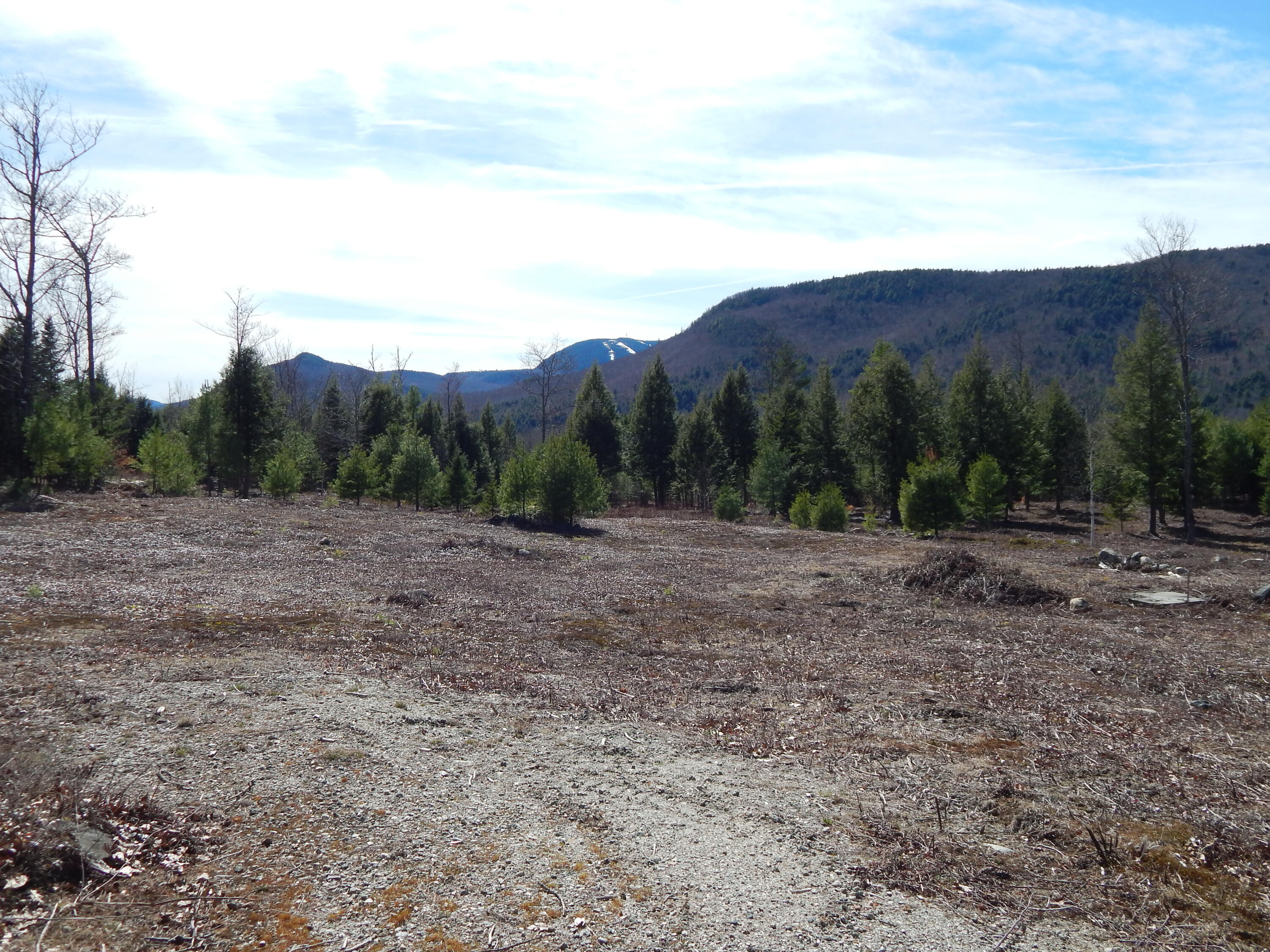 Lot 13 Second Street Bethel ME 04217