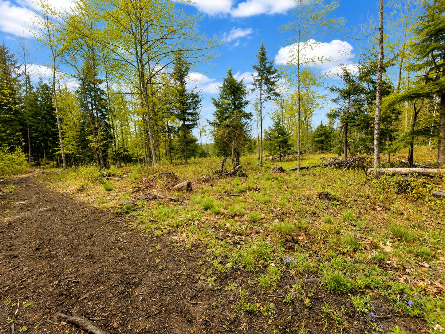 MAP13LOT30 Clarks Bridge Road Waterboro ME 04061