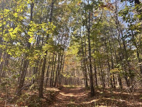 150 Bowden Point Road Prospect ME 04981