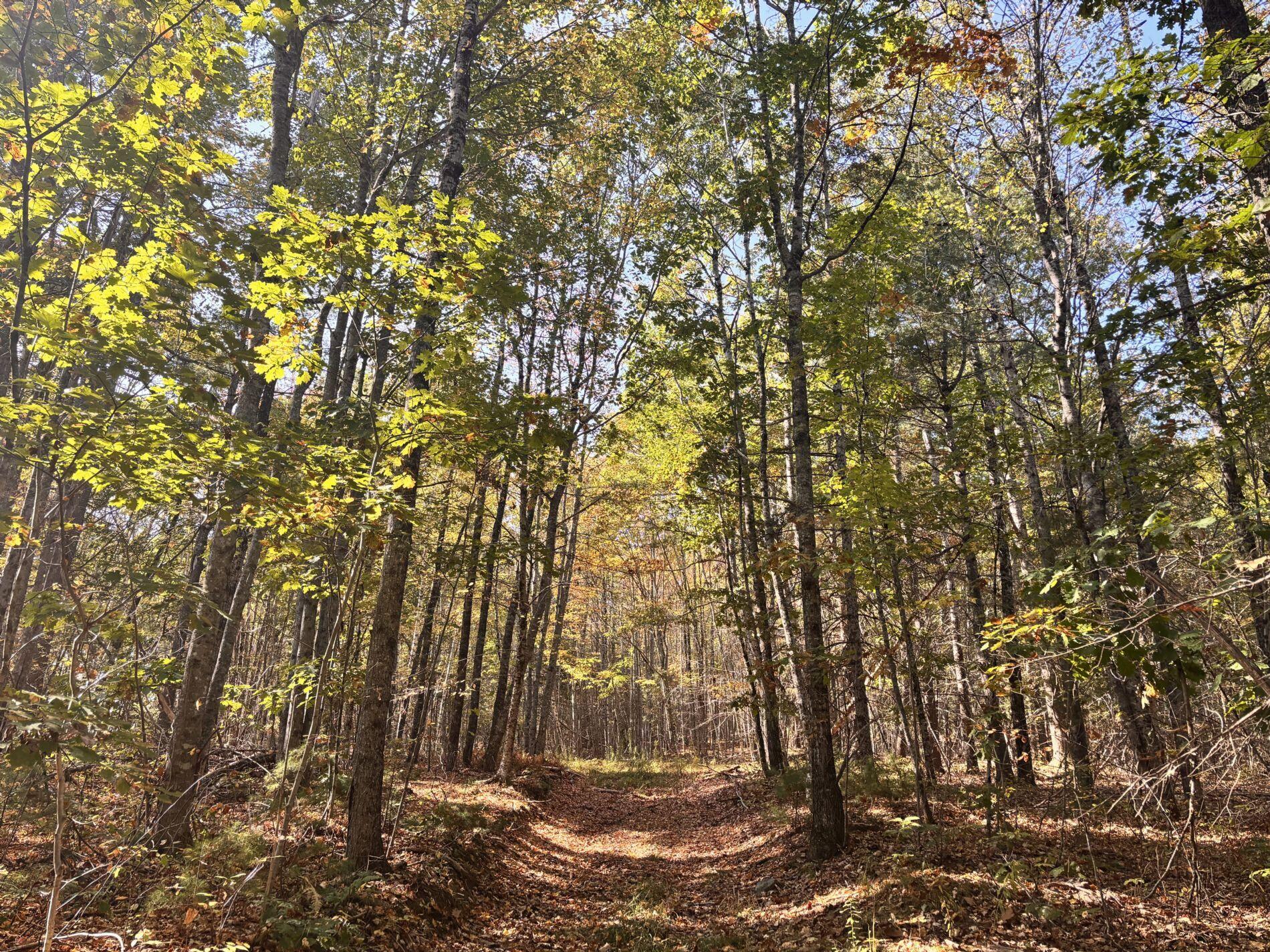 150 Bowden Point Road Prospect ME 04981