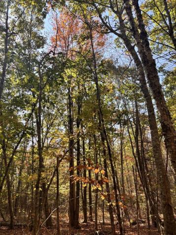 150 Bowden Point Road Prospect ME 04981