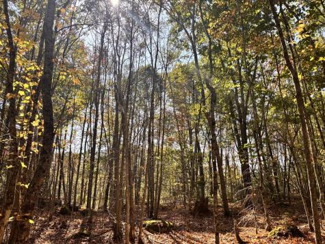 150 Bowden Point Road Prospect ME 04981