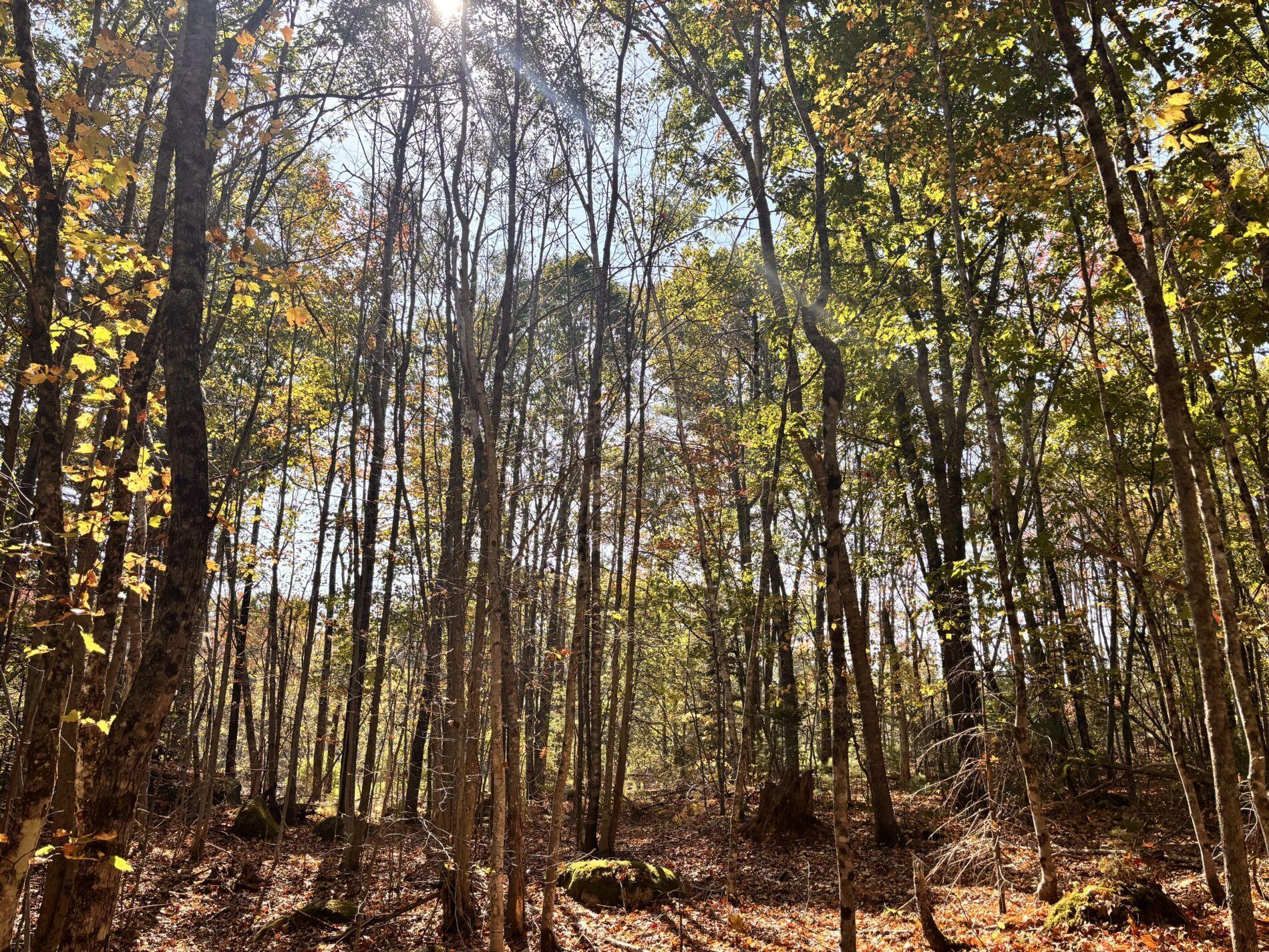 150 Bowden Point Road Prospect ME 04981