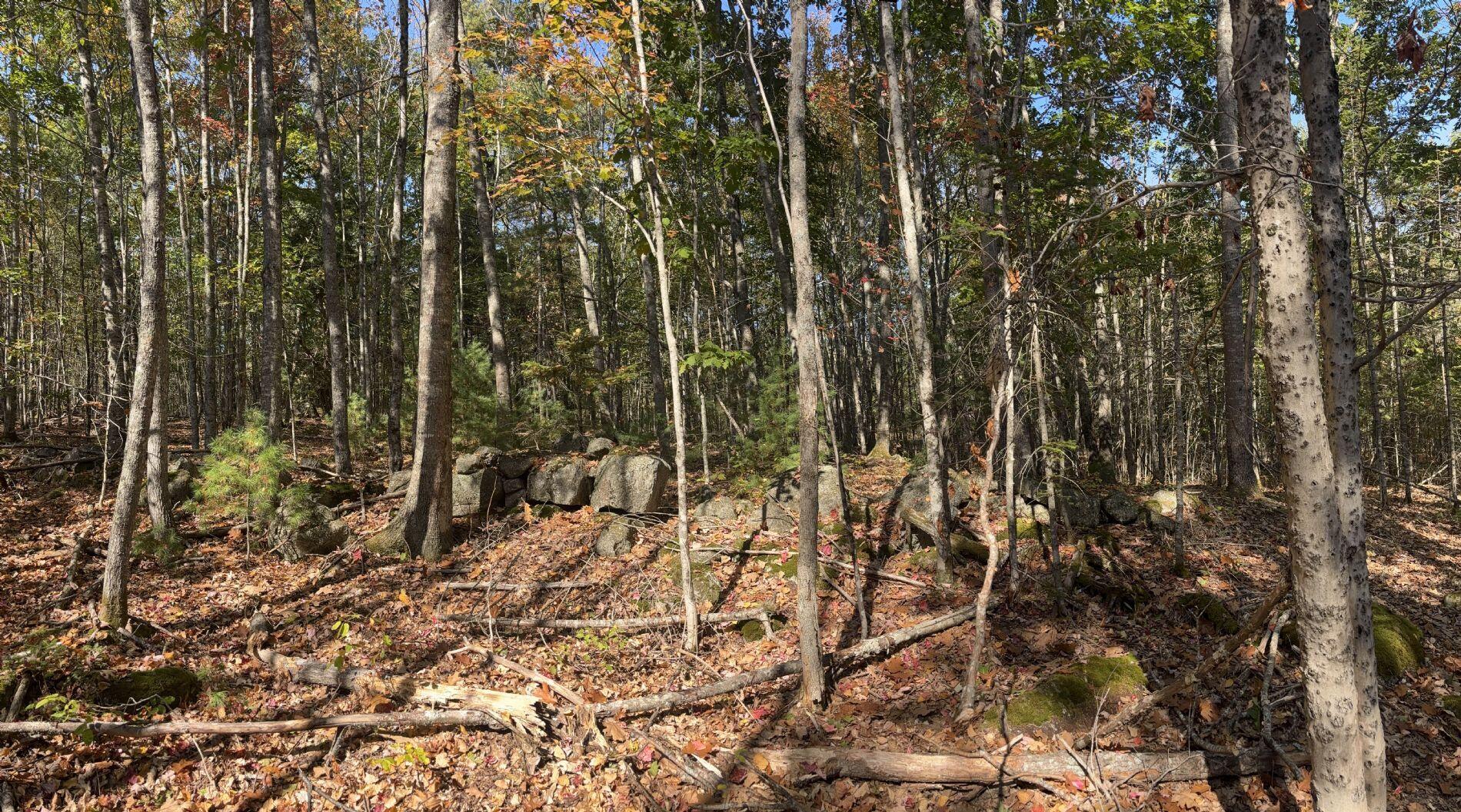 150 Bowden Point Road Prospect ME 04981