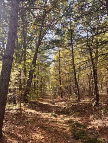 150 Bowden Point Road Prospect ME 04981