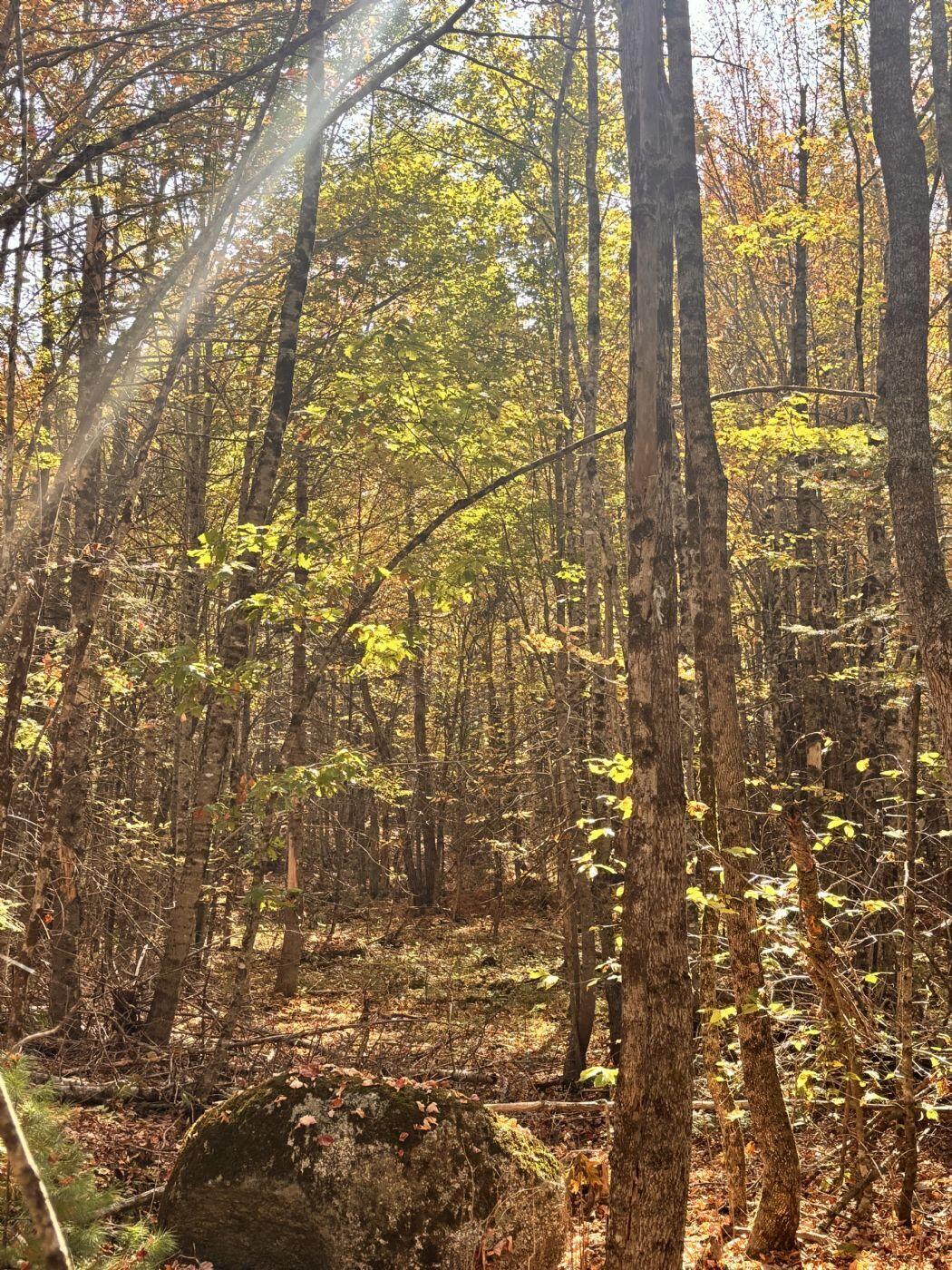 150 Bowden Point Road Prospect ME 04981