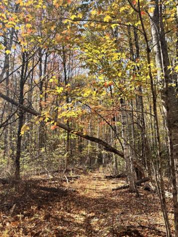 150 Bowden Point Road Prospect ME 04981