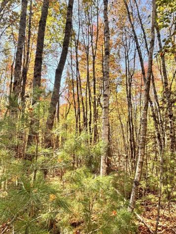 150 Bowden Point Road Prospect ME 04981