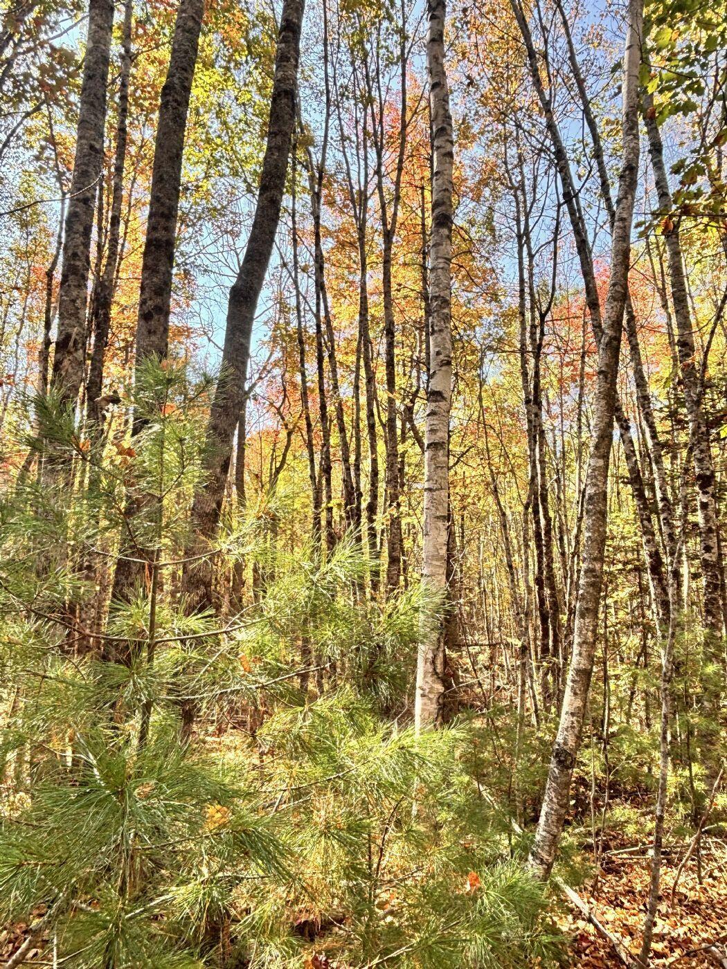 150 Bowden Point Road Prospect ME 04981