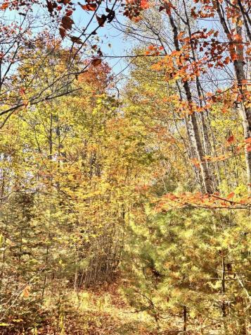 150 Bowden Point Road Prospect ME 04981