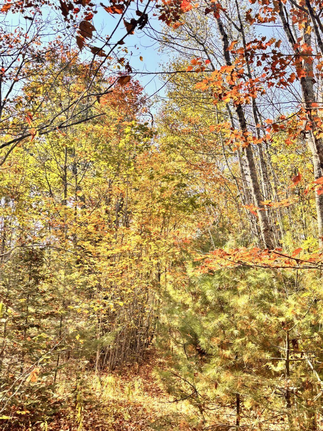 150 Bowden Point Road Prospect ME 04981