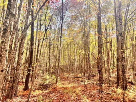 150 Bowden Point Road Prospect ME 04981