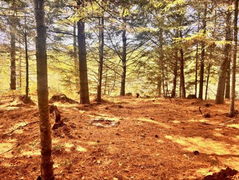 150 Bowden Point Road Prospect ME 04981