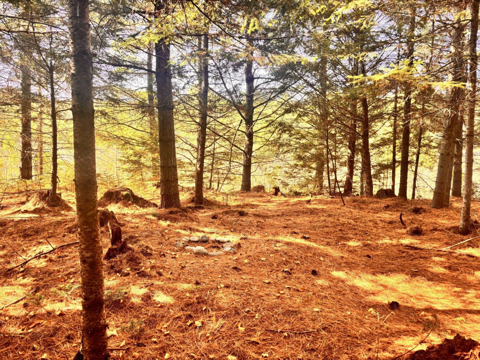 150 Bowden Point Road Prospect ME 04981