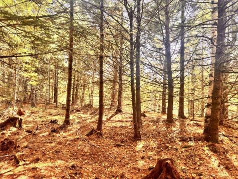 150 Bowden Point Road Prospect ME 04981