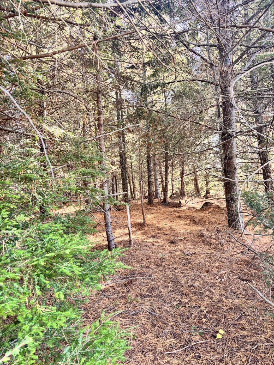 150 Bowden Point Road Prospect ME 04981