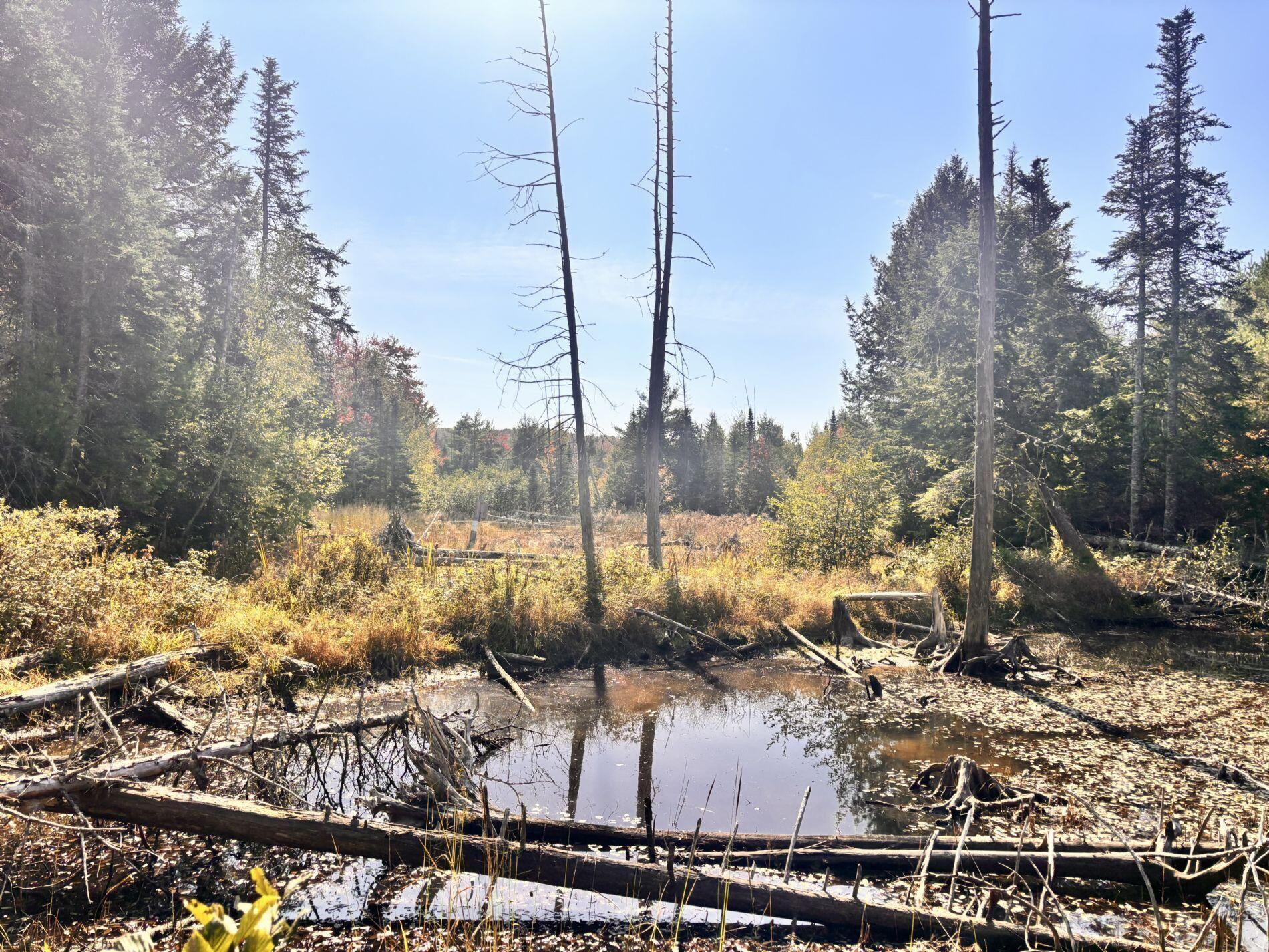 150 Bowden Point Road Prospect ME 04981