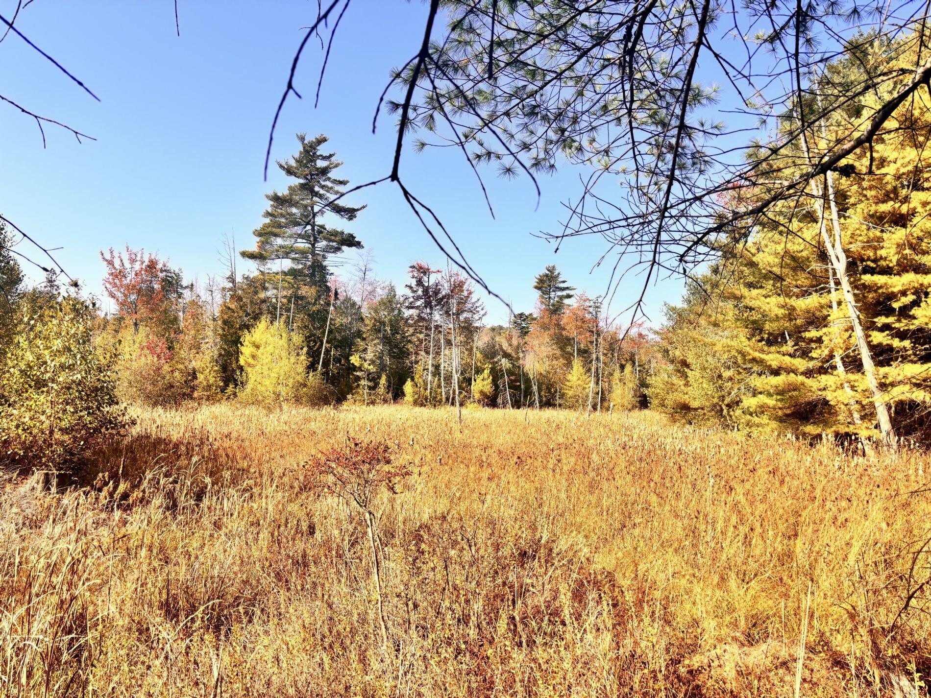 150 Bowden Point Road Prospect ME 04981