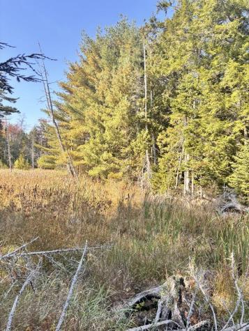 150 Bowden Point Road Prospect ME 04981