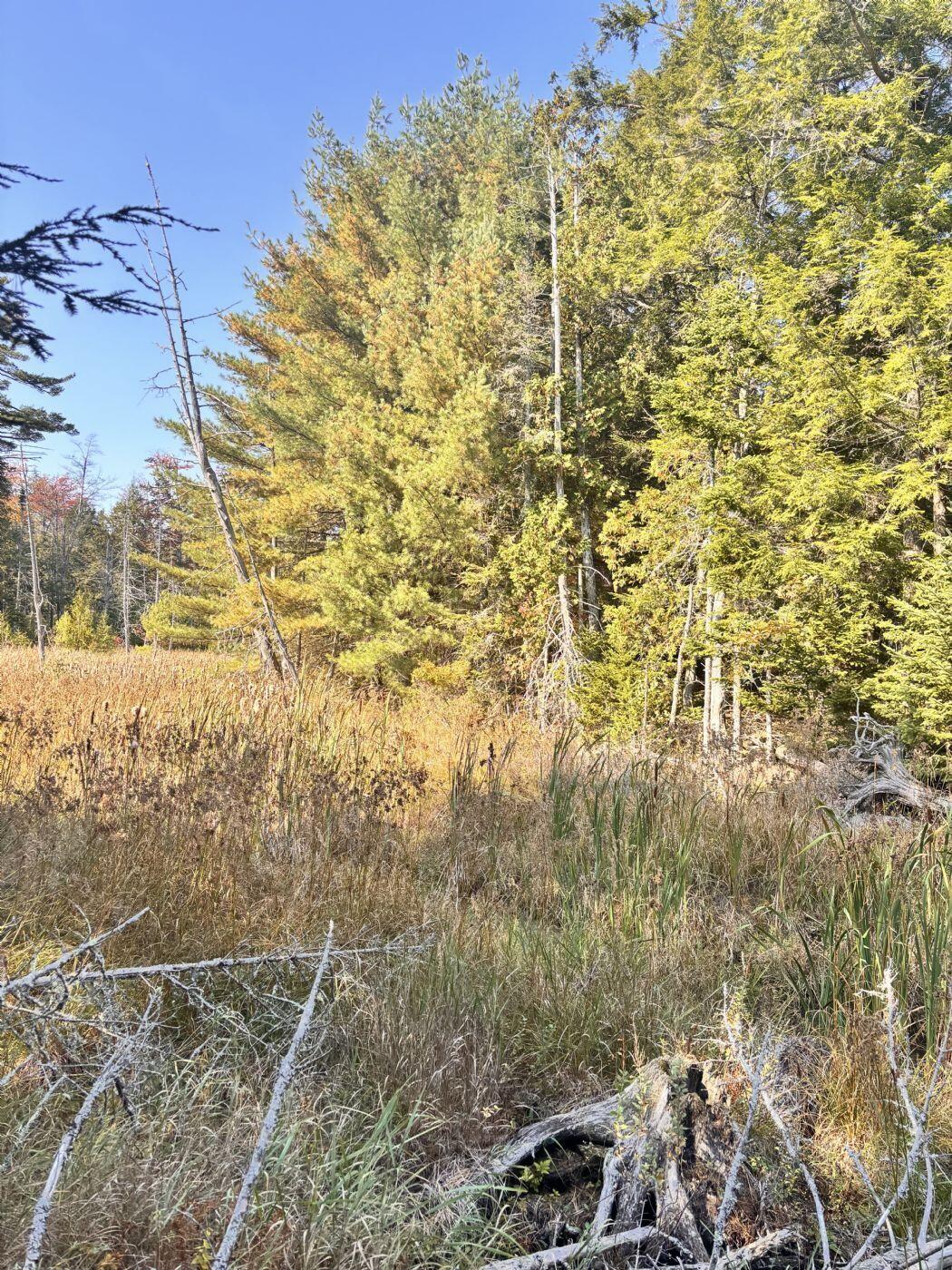 150 Bowden Point Road Prospect ME 04981