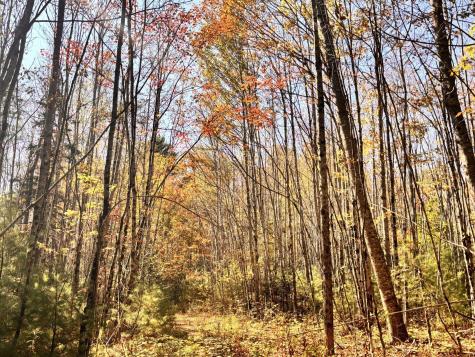 150 Bowden Point Road Prospect ME 04981