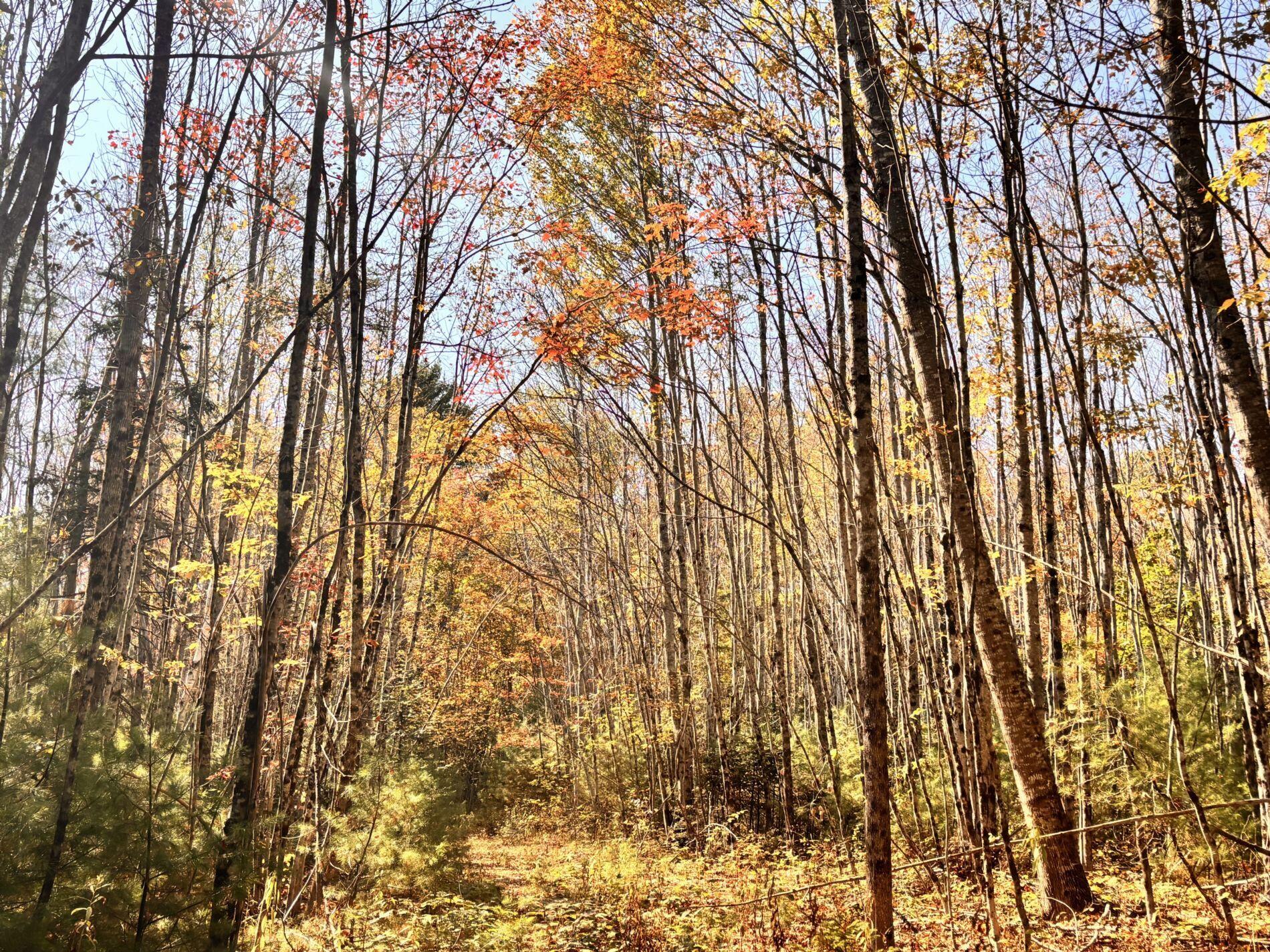 150 Bowden Point Road Prospect ME 04981