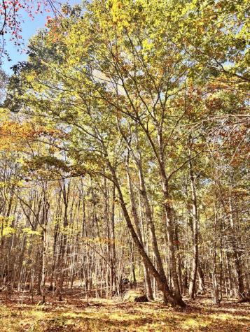 150 Bowden Point Road Prospect ME 04981