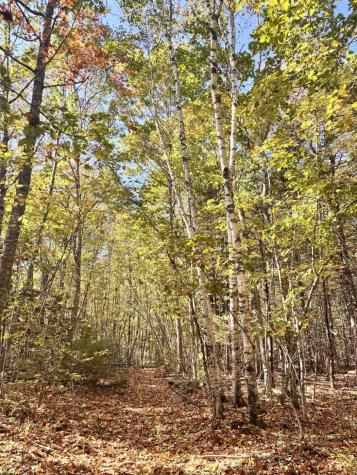 150 Bowden Point Road Prospect ME 04981