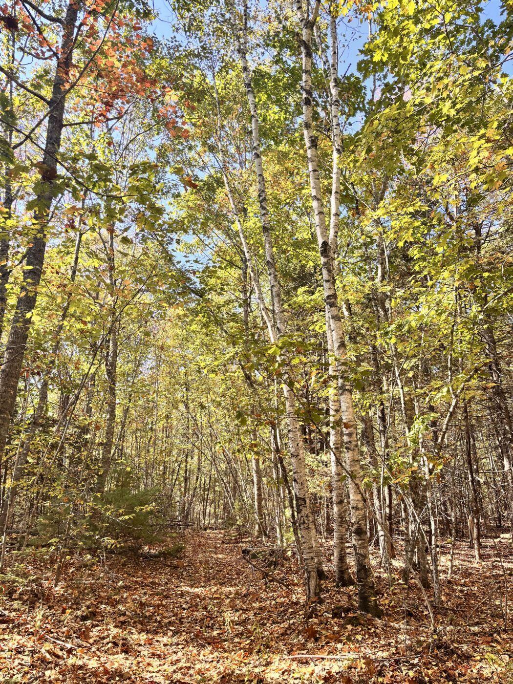 150 Bowden Point Road Prospect ME 04981