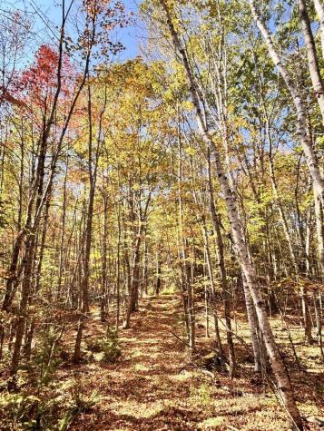 150 Bowden Point Road Prospect ME 04981