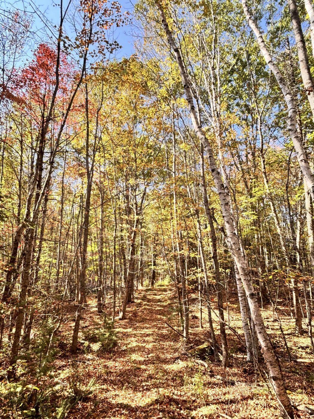 150 Bowden Point Road Prospect ME 04981