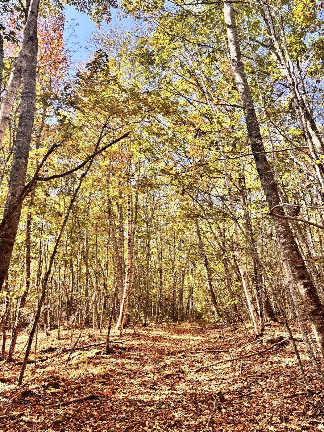 150 Bowden Point Road Prospect ME 04981