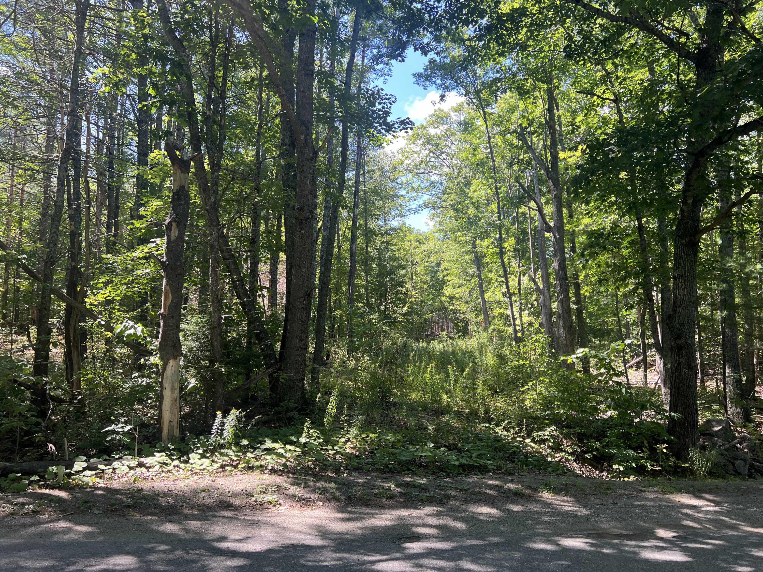 150 Bowden Point Road Prospect ME 04981