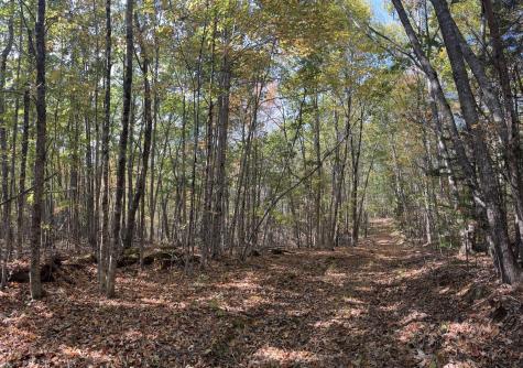 150 Bowden Point Road Prospect ME 04981