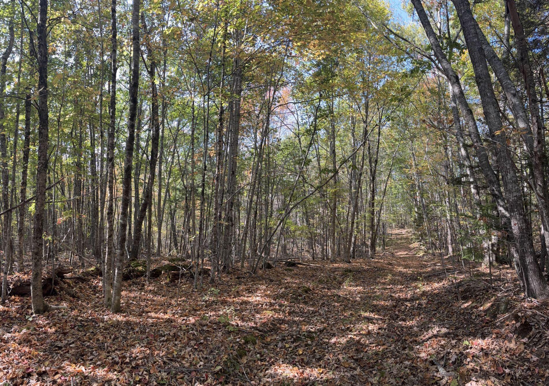 150 Bowden Point Road Prospect ME 04981