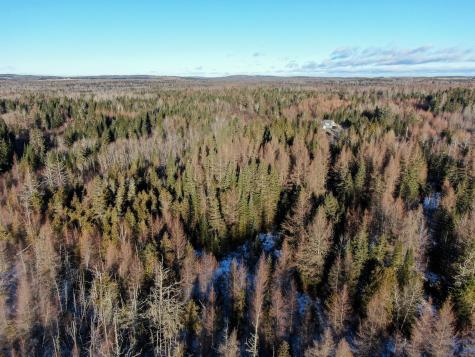 M2l24b Mcintyre Road Woodland ME 04736