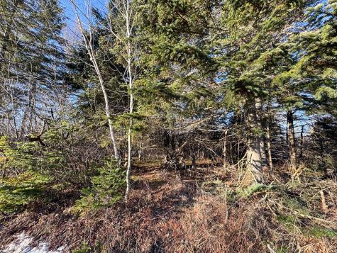 M2l24b Mcintyre Road Woodland ME 04736