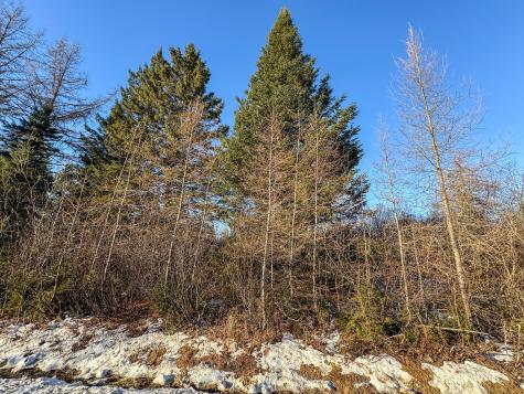 M2l24b Mcintyre Road Woodland ME 04736