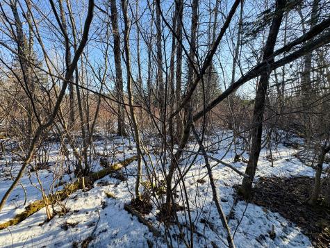 M2l24b Mcintyre Road Woodland ME 04736