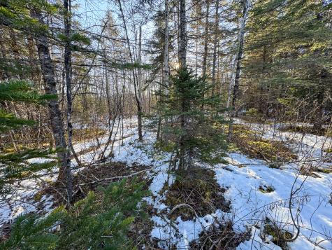 M2l24b Mcintyre Road Woodland ME 04736